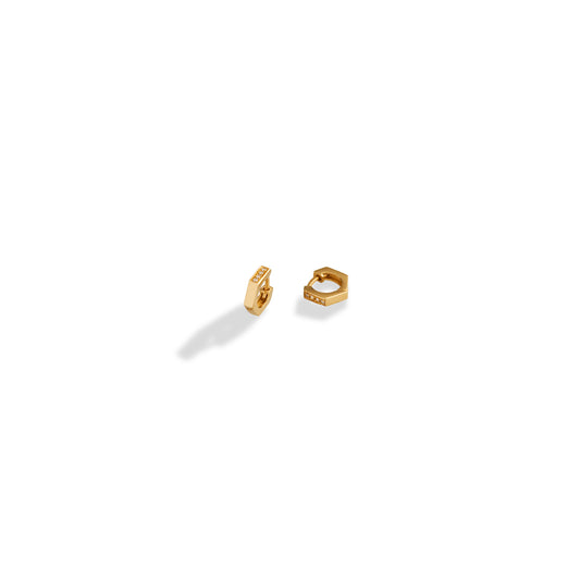 Mini Nut Diamonds Earrings